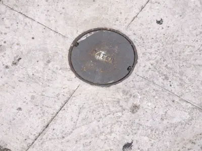 Water Plate 3D model