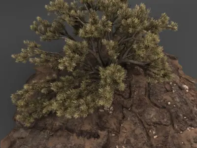 Mountain with Tree 3D model