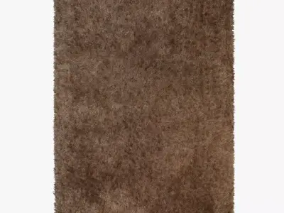 Carpet Rhapsody 3D model