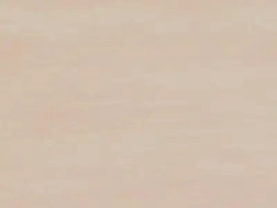 Light Birch Veneer Wood PBR Texture