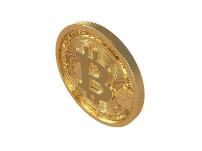 Bitcoin v7 009 3D model
