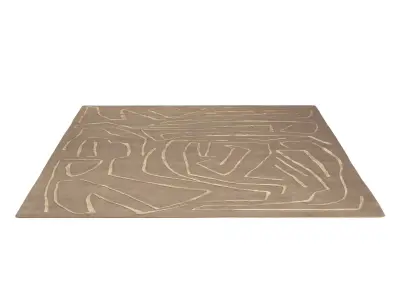 Tableau Salmon RUG 3D model