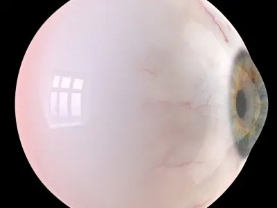  Detailed Human Eye 