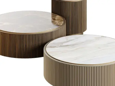 Ana Roque PLUM Coffee Table Low-poly 3D model