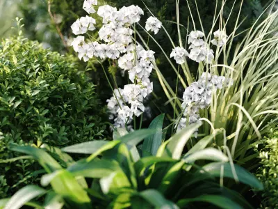 Alpine Hill  3D model