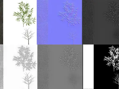 Eucalyptus crebra tree Low-poly 3D model