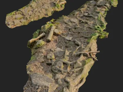 Ground stones C 3D model