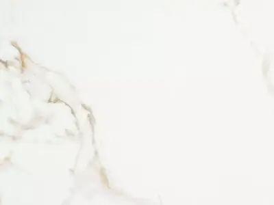 Calacatta Oro Warm White Marble Texture Texture