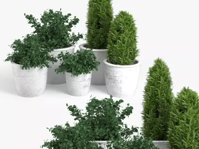 Bushes three potted plants 3D model