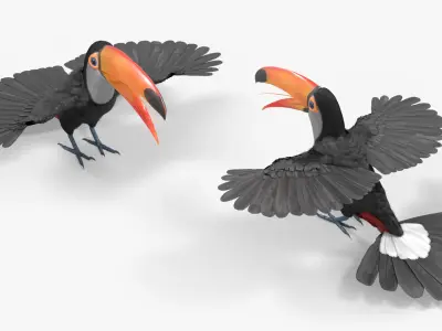  Large Toco Toucan Fur Rigged For Blender 