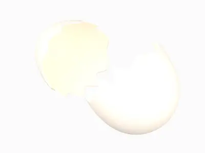 Egg Shell v1 004 Low-poly 3D model