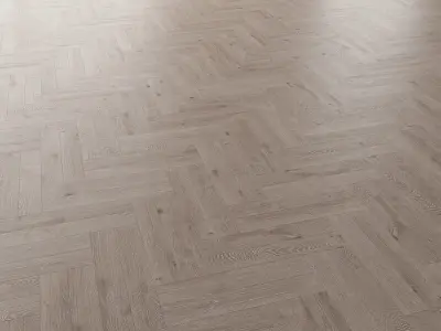 Parquet Oak Nordic NEW WWL set 2 3D model