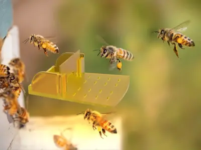 Beehive Door Entrance Platform German Standard 3D print model