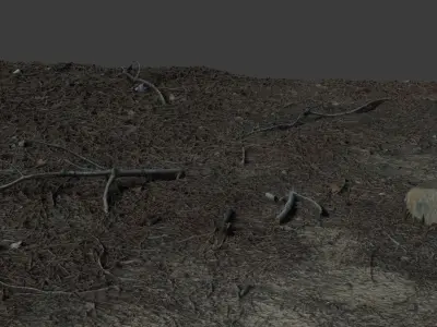Pineforestfloor 3D model
