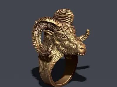 aries ring 3D print model