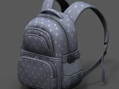 Backpack bag baggage Color 3d low poly  Low-poly 3D model