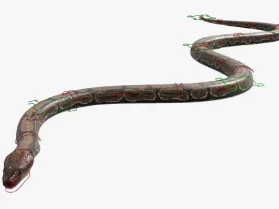  Python Snake Rigged For Blender Animated Set 