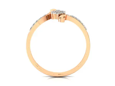 Ring - 73 3D print model