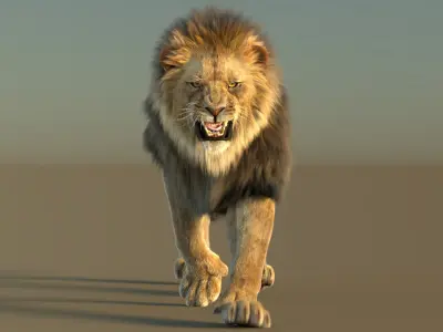  Lion Family 3D Models Rigged and Animated Bundle Lion Lioness and Cub 
