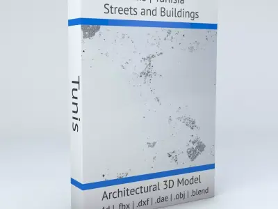 Tunis Streets and Buildings 3D model