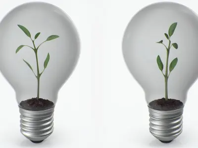 Lightbulb Plant 3D model