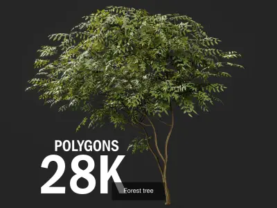 All Trees Collection 3D Model Pack