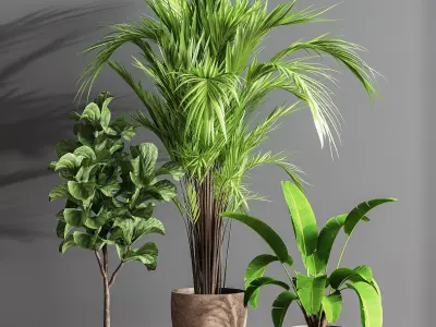 Indoor Plant Set 60 3D model