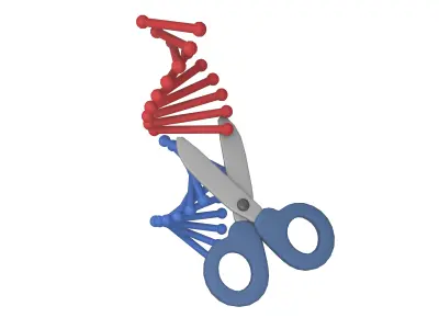 Genome Editing Icon v1 001 Low-poly 3D model