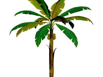 Tropical and desert vegetation - Pack of 15 Low-poly 3D model