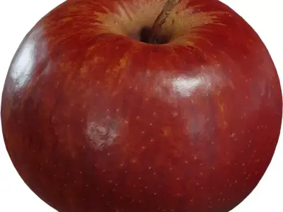 Photorealistic Red Apple  Low-poly 3D model