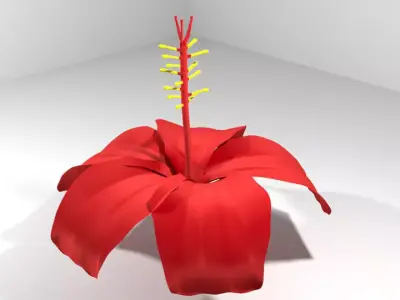 Flower - Hibiscus 3D model