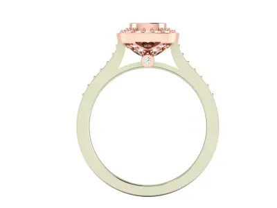 Women Ring  Render 3dm STL OBJ FBX Details 3D print model 245