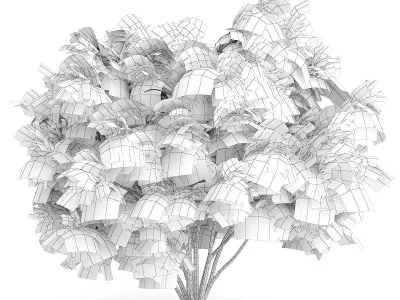 Amur Maple Acer ginnala 3D model