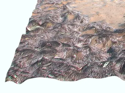 Mud Puddle 3D model