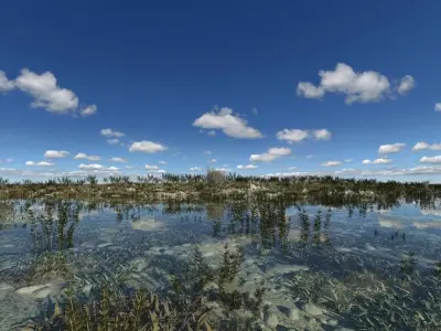 Marshland Swamp 3D model