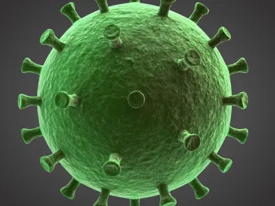 CORONAVIRUS  2019-Covid Free 3D model