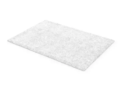 Carpet 3D model 9