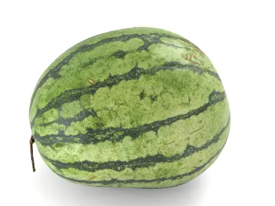 Yellow Watermelon - Photorealistic Scan Low-poly 3D model
