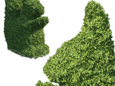 Bush Squirell 3D model