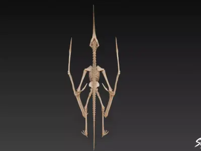 Pteranodon fossil Low-poly 3D model