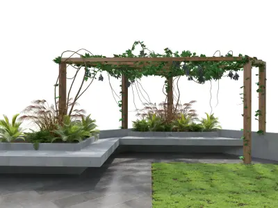 Crape vine pergola backyard Low-poly 3D model