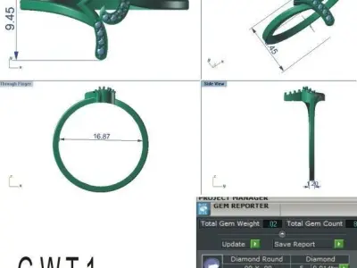 Light weight ring model  3D print model