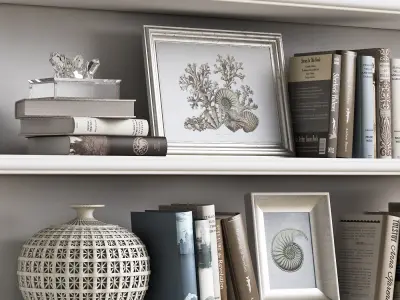 Decor Set 2 bookshelves with seashells 3D model