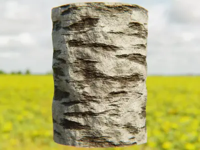 Procedural White Birch Bark Texture - Seamless PBR Material Texture