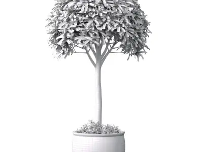 Decorative tall tree in a Chinese porcelain vase pot 3D model