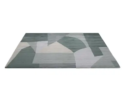  District Spruce RUG 3D model