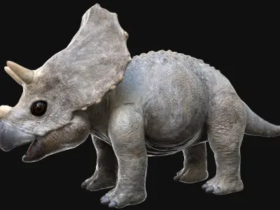  TriceratopsBaby 3D Rigged 