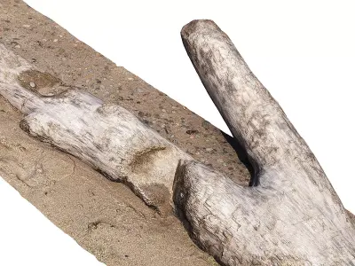 Log on the sand  3D model