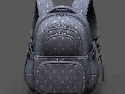 Backpack bag baggage Color 3d low poly  Low-poly 3D model