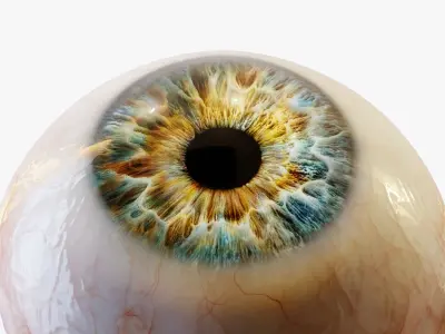  Human eye Photorealistic 
